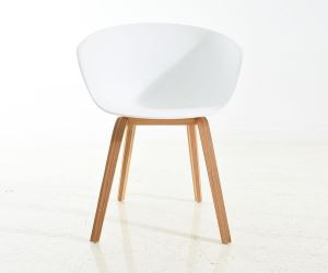 Plastic Chair-DC-1343