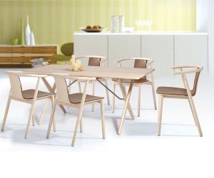 Wooden Chairs-WD-909(V)